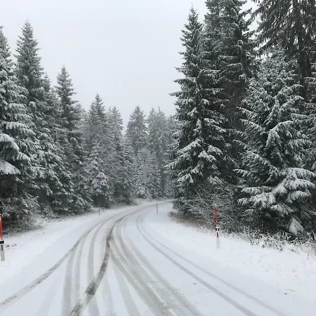 別荘 フェリエンハウス グロバウアー 2 *
