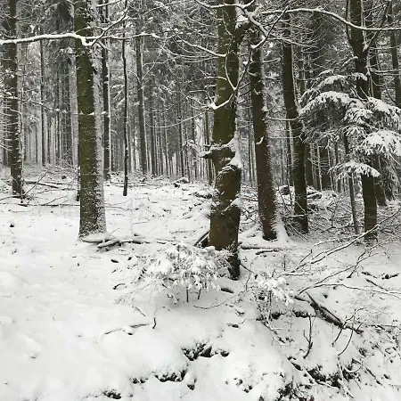フェリエンハウス グロバウアー 2 * Schwarzenberg am Bohmerwald