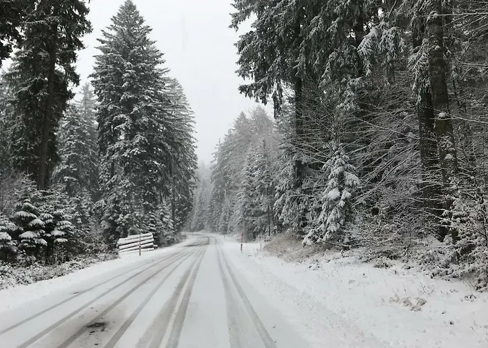 Grobauer Ii Tatil Evi Schwarzenberg am Bohmerwald
