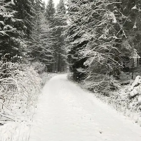 Grobauer Ii 度假居 Schwarzenberg am Bohmerwald