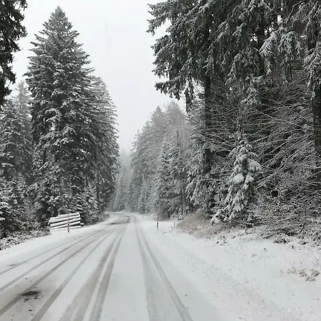 Grobauer Ii 度假居 Schwarzenberg am Bohmerwald
