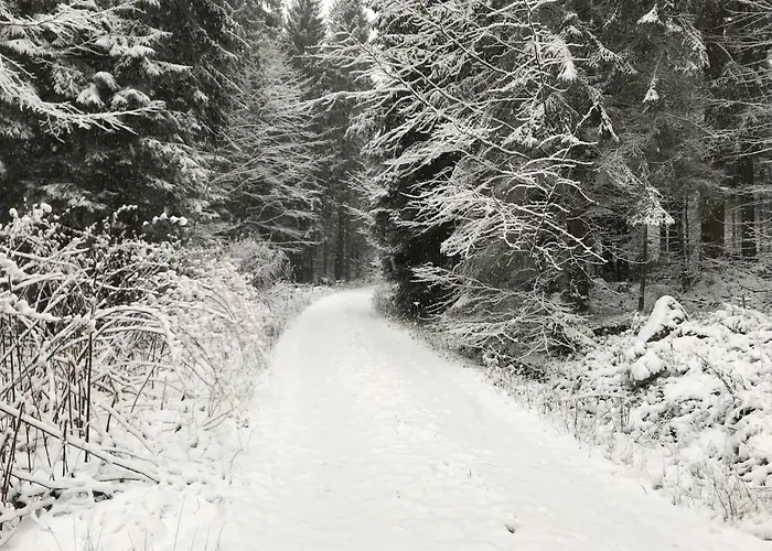 フェリエンハウス グロバウアー 2 別荘 Schwarzenberg am Bohmerwald
