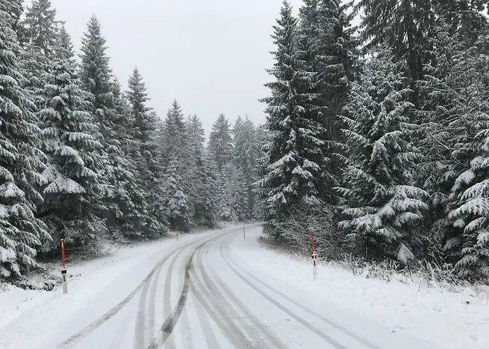 別荘 フェリエンハウス グロバウアー 2 *