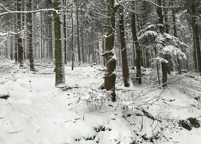 フェリエンハウス グロバウアー 2 * Schwarzenberg am Bohmerwald