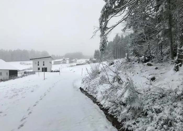 フェリエンハウス グロバウアー 2 別荘 *